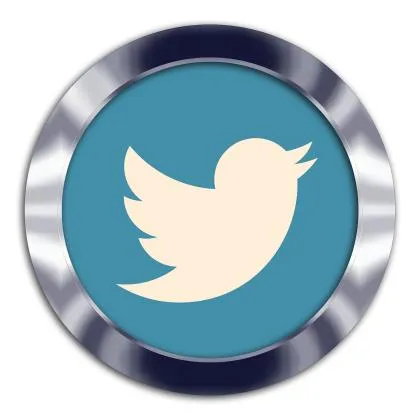 Twitter,2FA,(字符串，包含auth_token，2fa,cto),90天