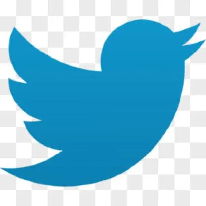 Twitter,2FA,(字符串，包含auth_token，2fa,cto),90day+