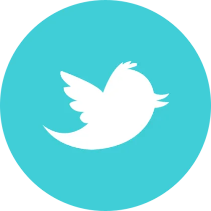 100+ 粉丝 2010-2020 老 Twitter 账号.AUTH TOKEN. CT0